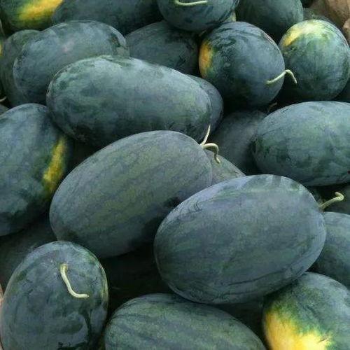 亚洲吃瓜精品黑料吃瓜