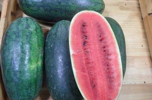 黑料吃瓜最新官网